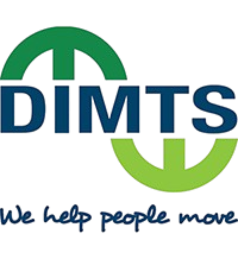 DIMTS